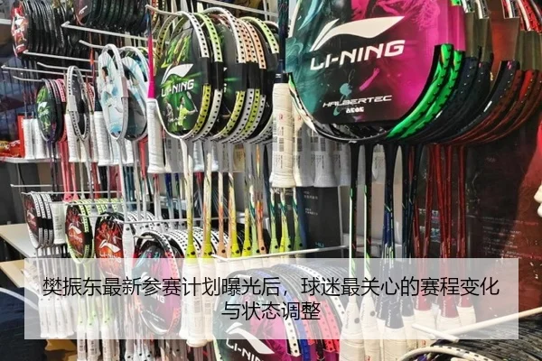 樊振东最新参赛计划曝光后，球迷最关心的赛程变化与状态调整